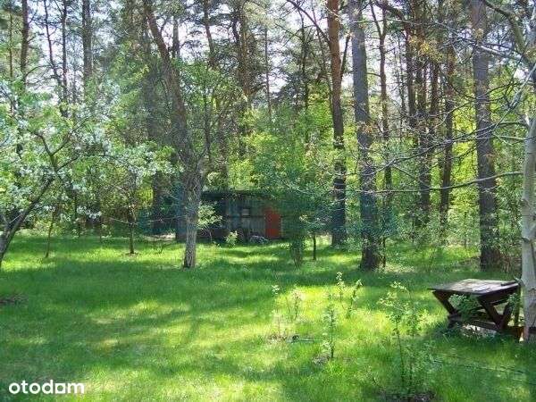 Przepiękna działka przy ul. Grzybowej - Pełny obrazek: 4/6