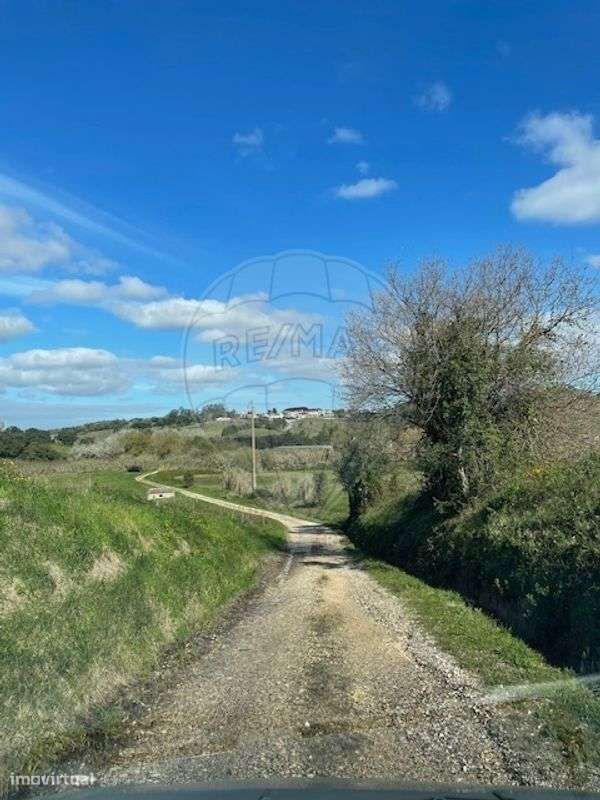 Terreno  para venda - Grande imagem: 4/14