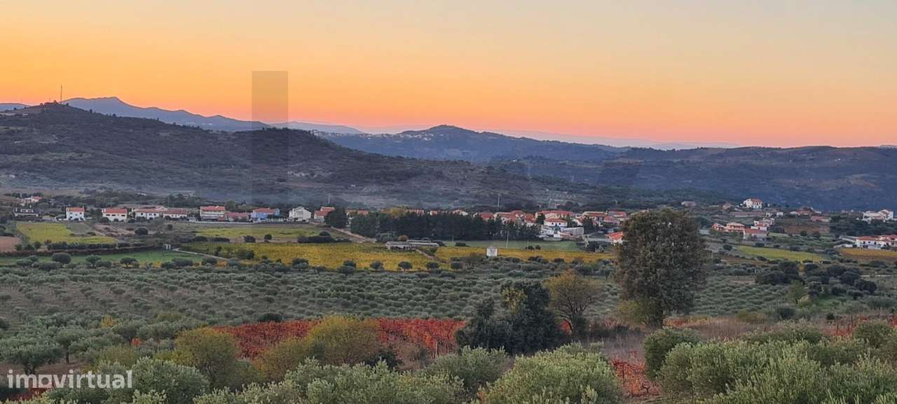 Oportunidade Única | Propriedade Agrícola | 36 Hectares: Oliveiras, Am - Grande imagem: 4/48