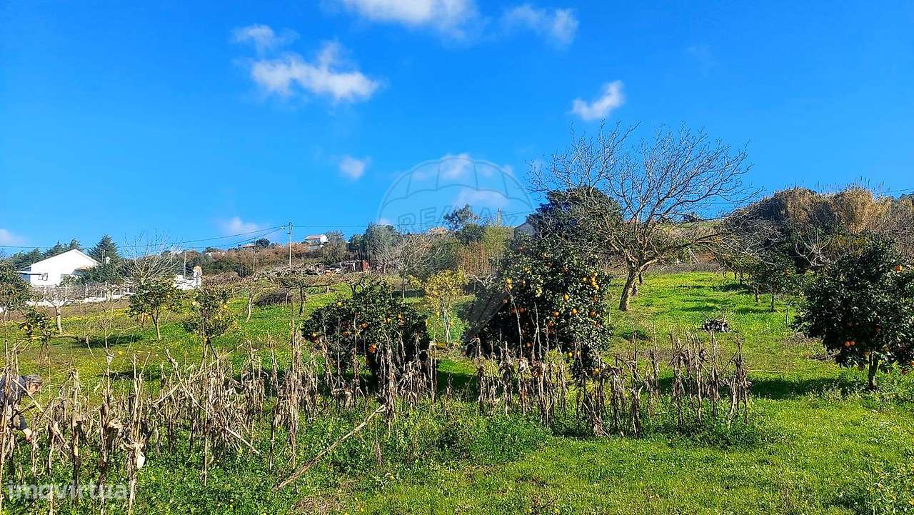 Terreno  para venda-32