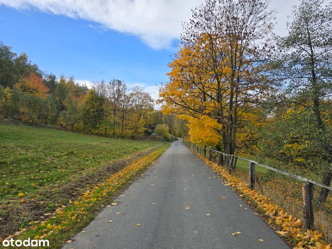 4 Działki przy lesie z widokiem na Góry Sowie-16