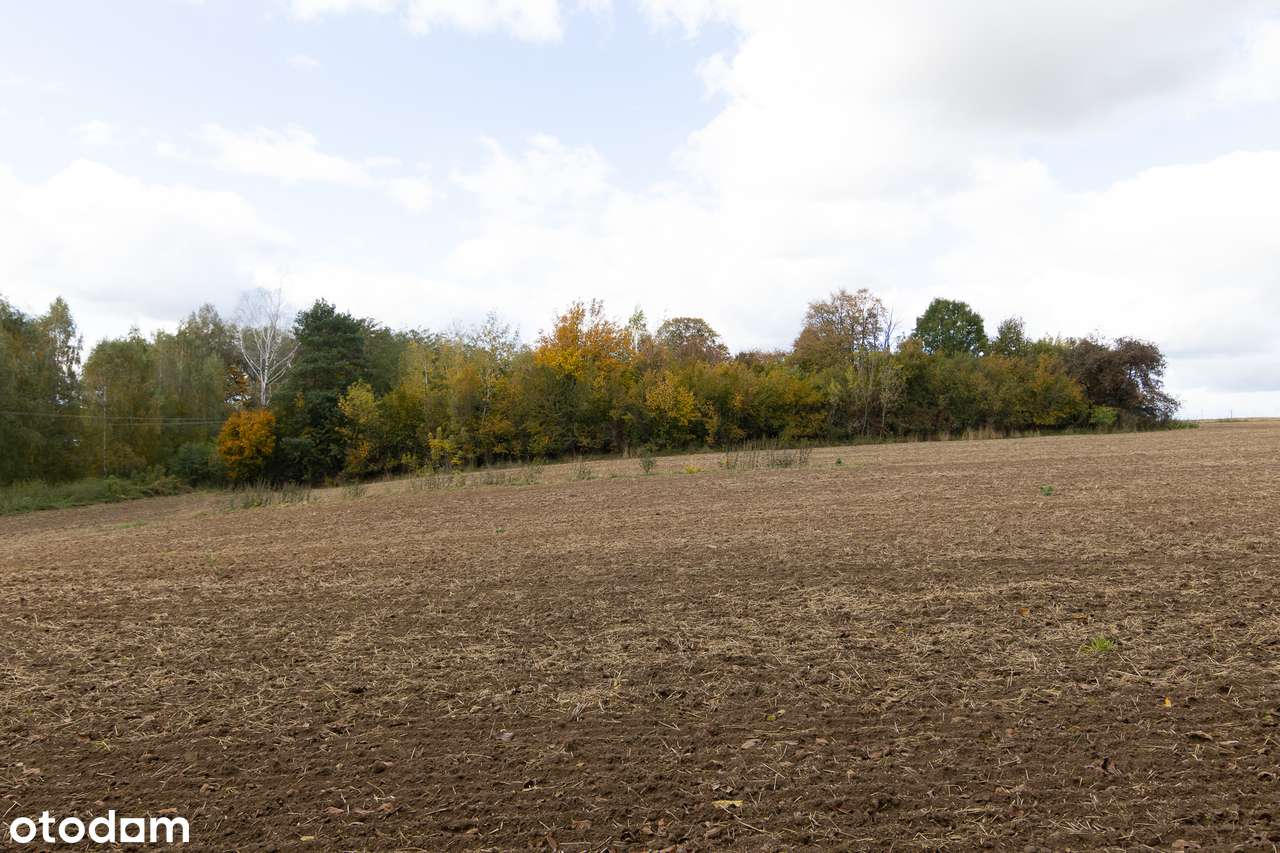 Działka budowlana Chmiel - Kolonia-9