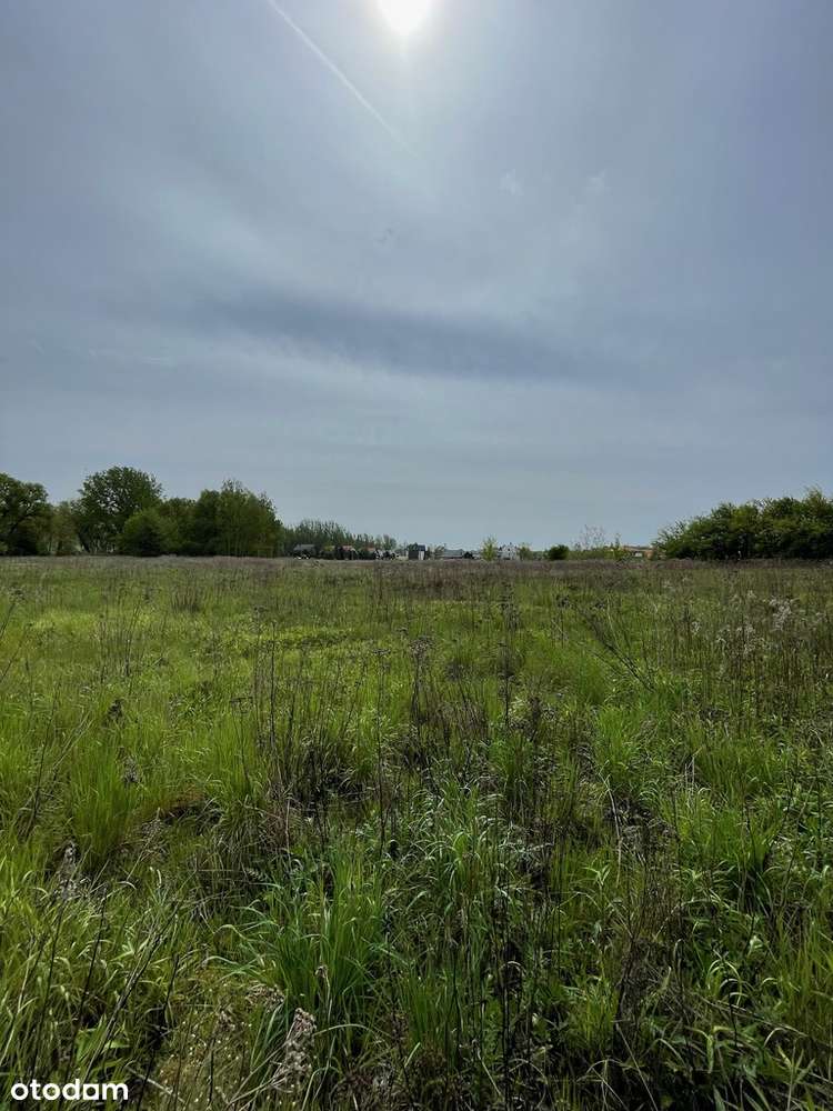 Działka 1,35 ha Kępa Zawadowska-4