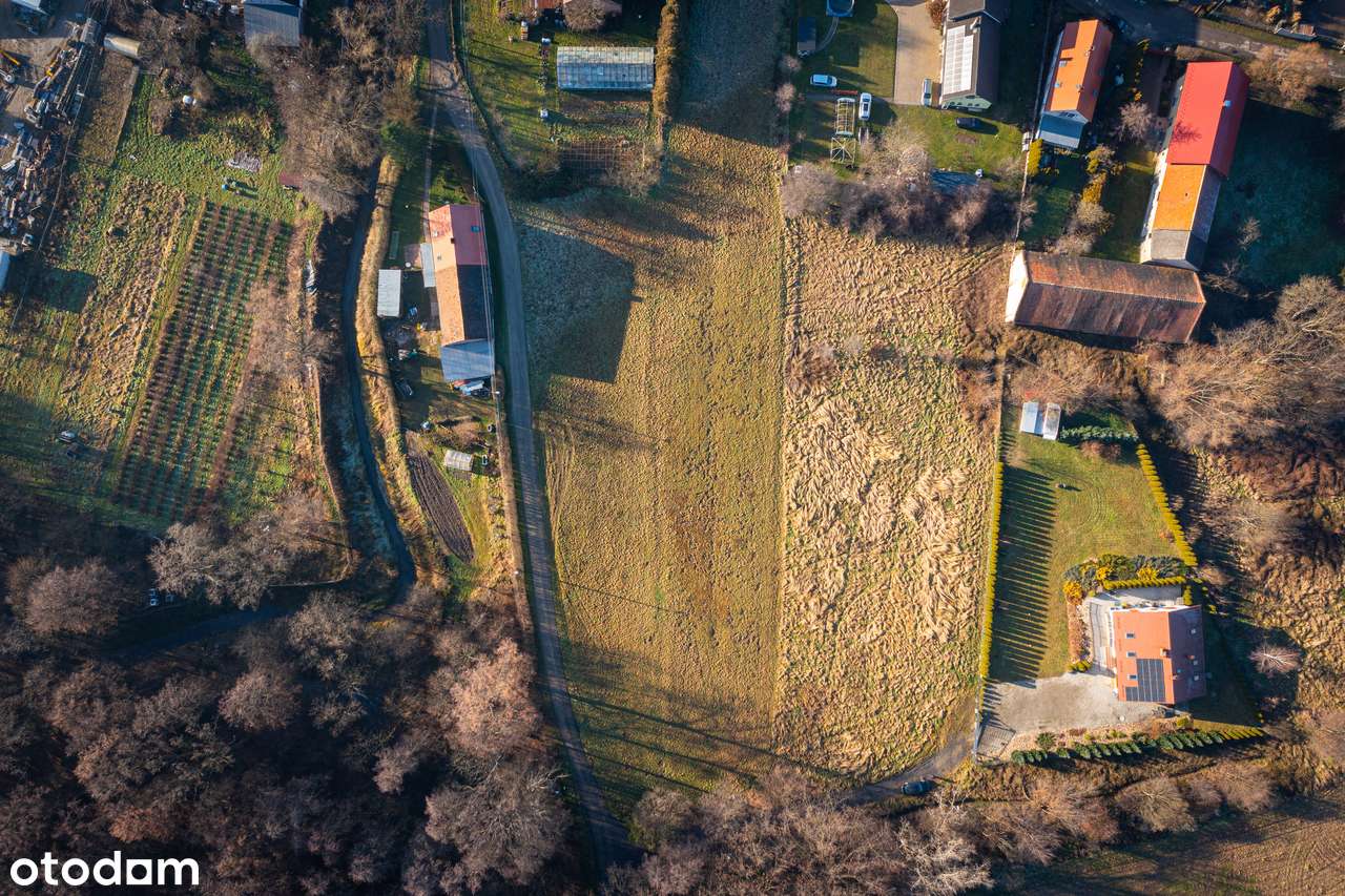 Duża działka widokowa w Hajdukach Nyskich-3