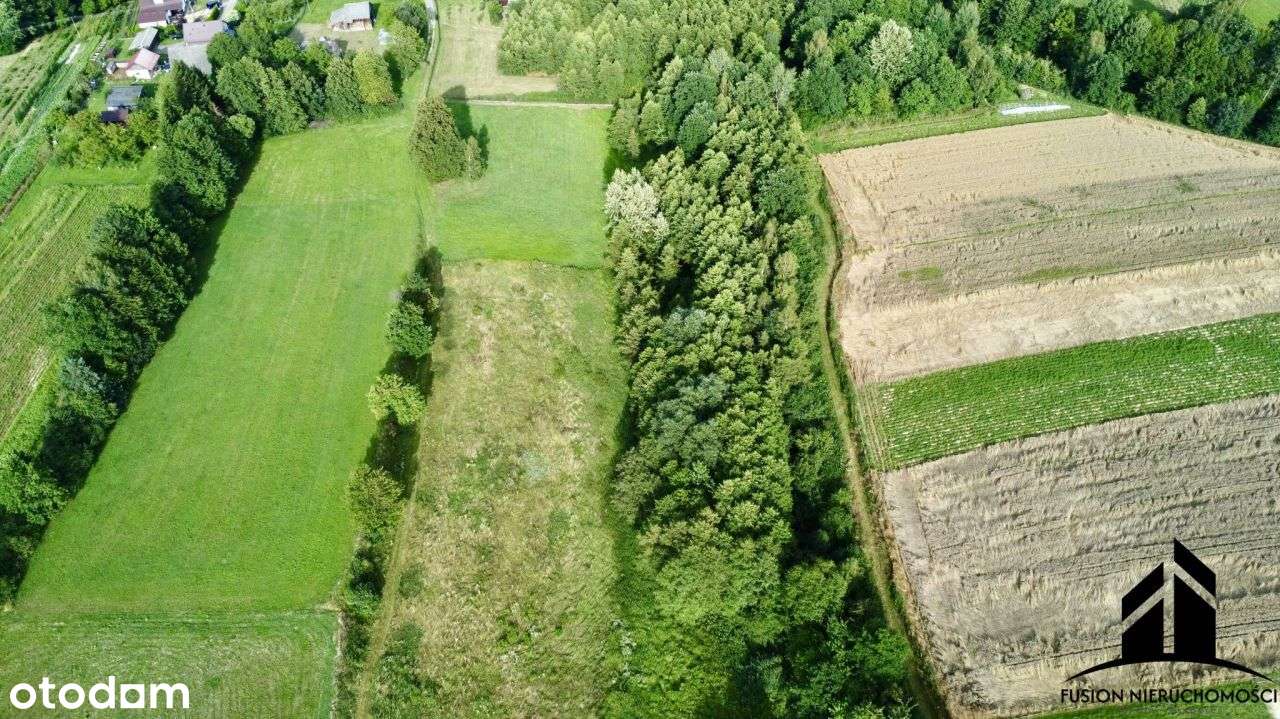 Urokliwa działka z potencjałem | 7842 m² | Łubno,-18