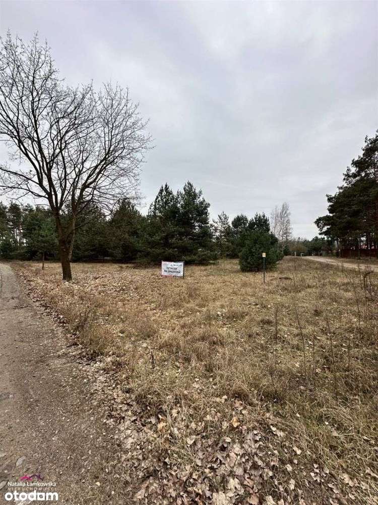 OFERTA SPRZEDAŻY DZIAŁEK BUDOWLANYCH - RUDA - Pełny obrazek: 2/11