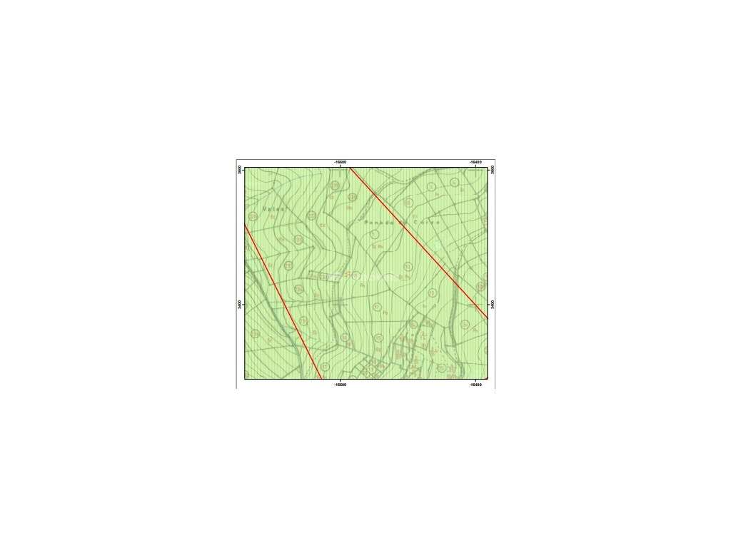 Eucaliptal com 3800m² - Serra de Santa Catarina, Ferreira do Zêzere - Grande imagem: 1/9