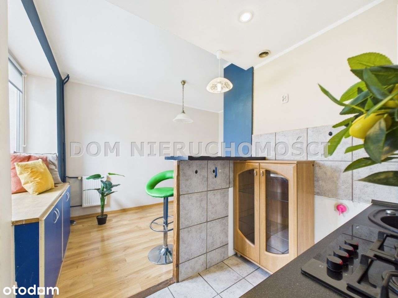 Lokal 38,18 m2,parter, 2pok Pojezierze, Dworcowa - Pełny obrazek: 5/15