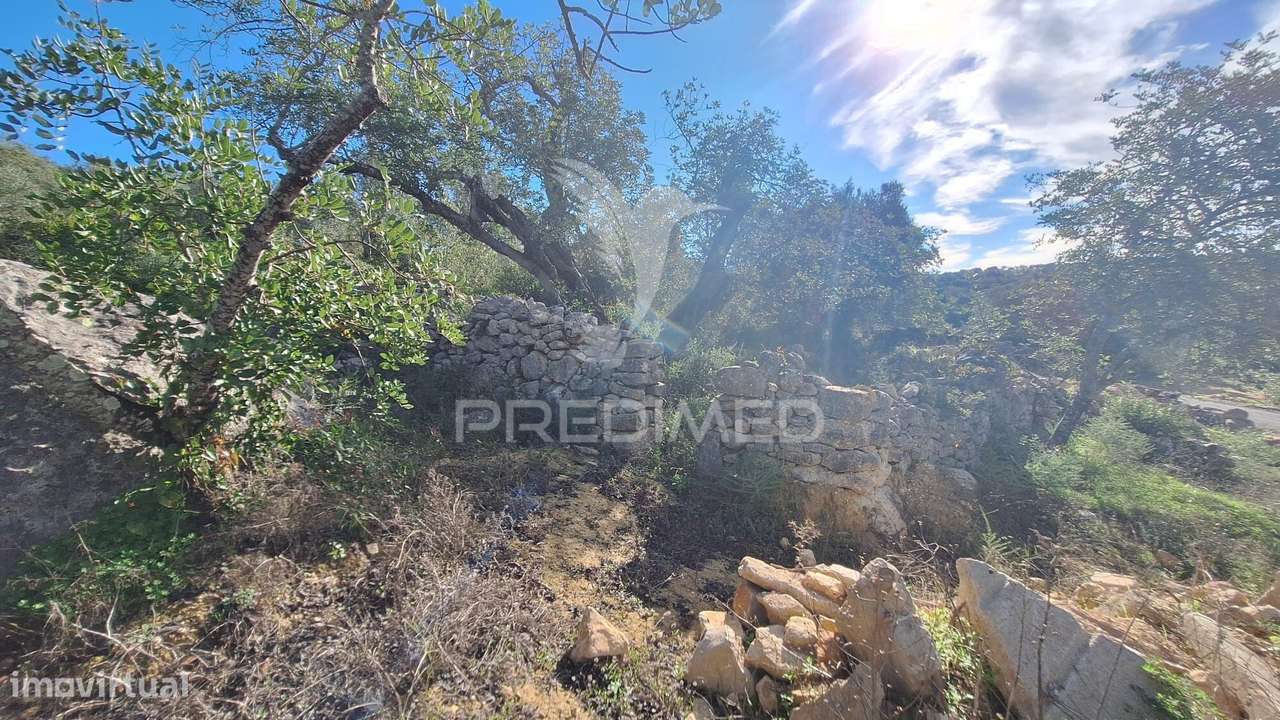 Terreno rustico em Loulé com 1ha e acesso directo da estrada - Grande imagem: 2/10
