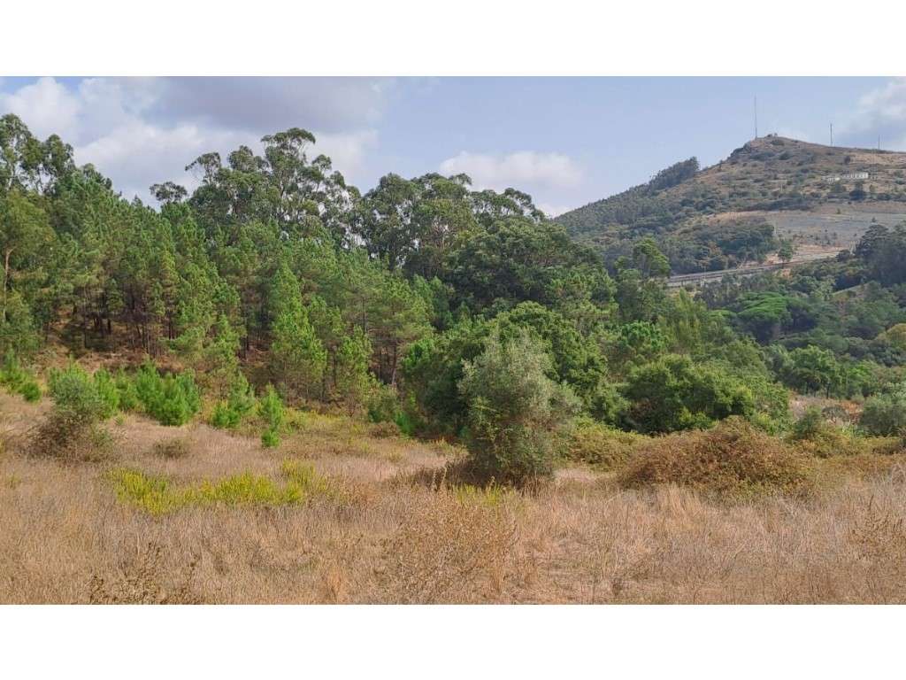 Terreno/Lote à venda em Lousa, Loures - Grande imagem: 4/19