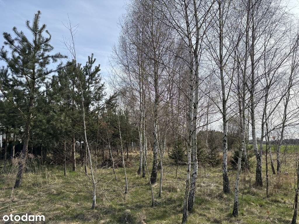 Piękna duża działka budowlana-7