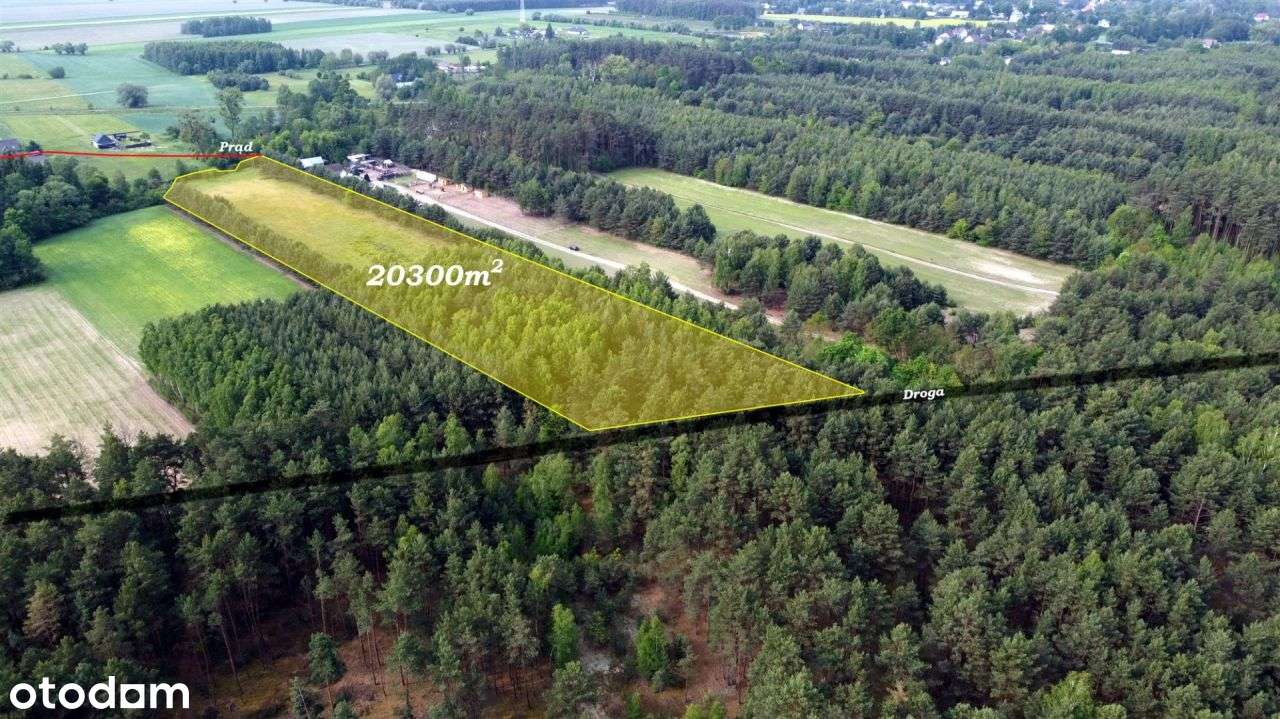 Piękna częściowo zadrzewiona działka rolna. - Pełny obrazek: 2/6