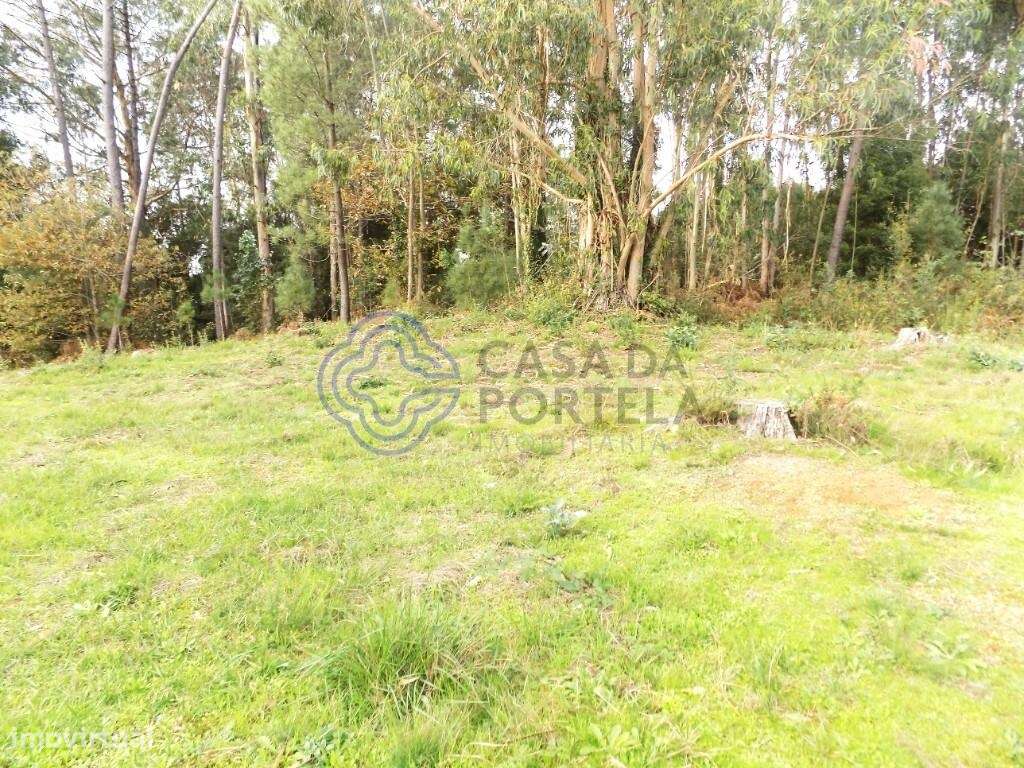 Terreno com 8620 M2. Junto ao Nó da Autoestrada A1. - Grande imagem: 5/12