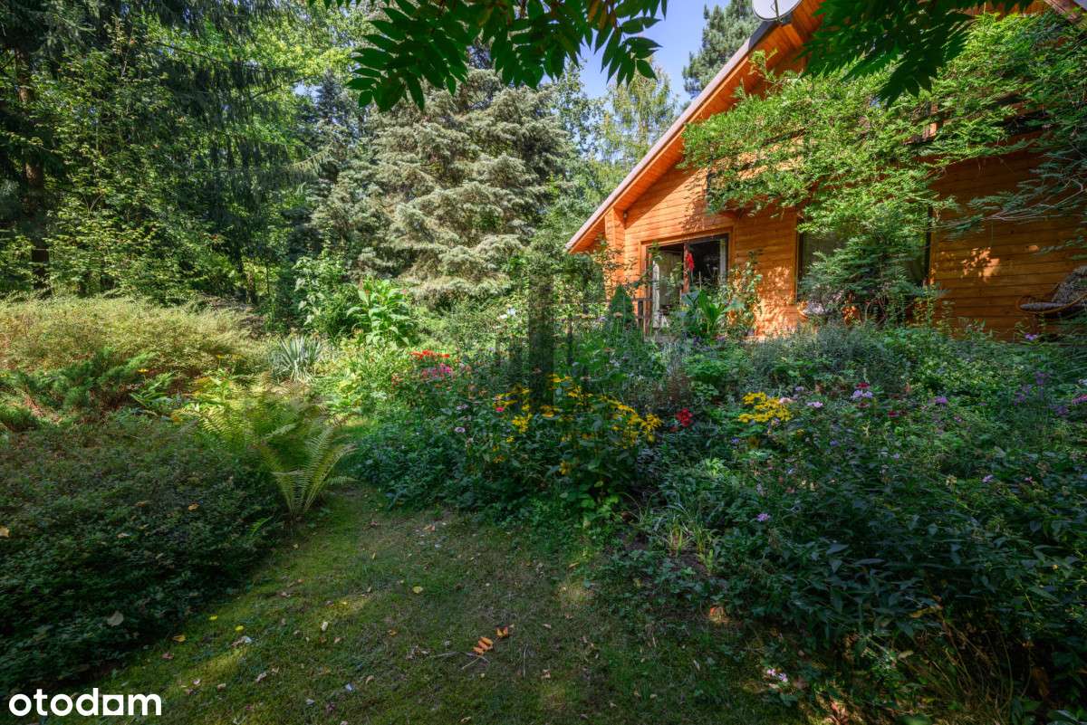 Drewniany domek z pięknym ogrodem * 3 pokoje - Pełny obrazek: 4/17