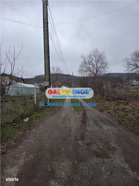 Vindem teren intravilan 1000 mp in Calinesti , dubla deschidere - Imagine principală: 2/4