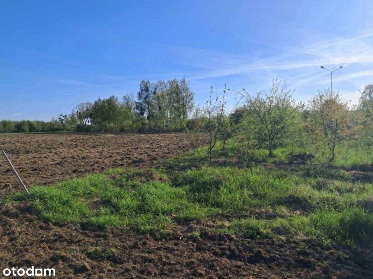 Gdynia ale klimat wiejski i morze-2