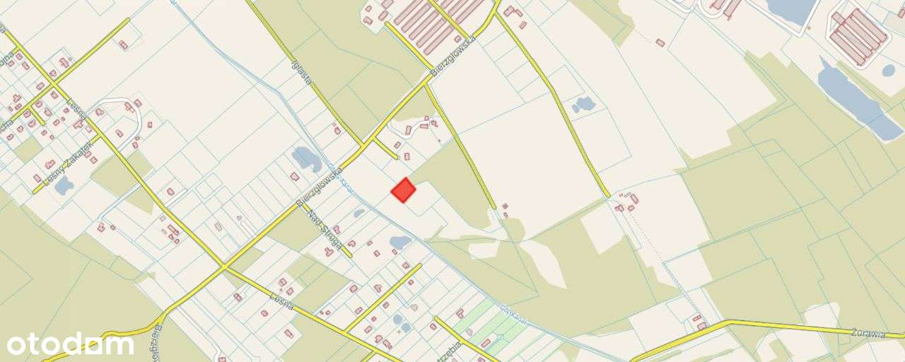 Wśród natury - las.. łąki.. i szybki dojazd do Torunia i Bydgoszczy-7