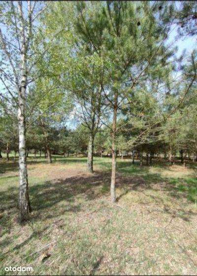 1460 m2 Piękna działka budowlana przy  Bolimowskim Parku Krajobrazowym-5