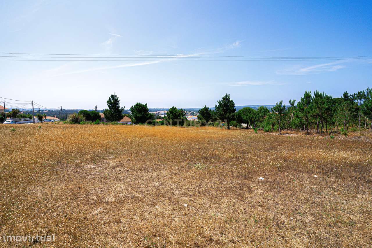 Terreno 4 910m2 | Nadadouro - Grande imagem: 5/9