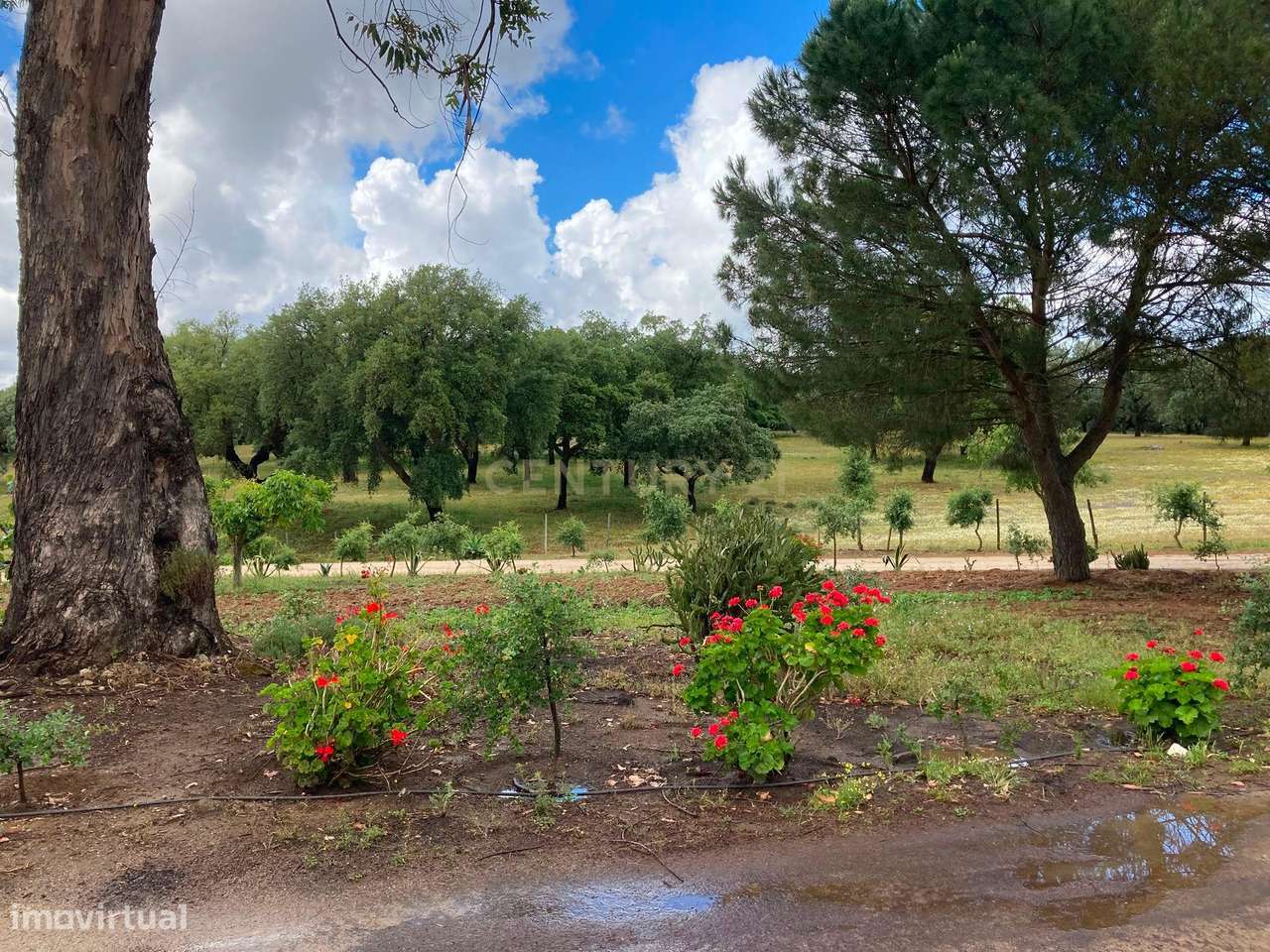 Herdade da Pedra Longa — Um Património Único no Coração do Alentejo-49