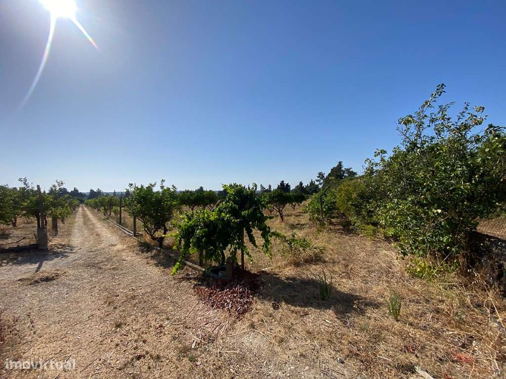 Terreno a venda com PIP aprovado para 8 Quintas, em condomínio em A... - Grande imagem: 2/12