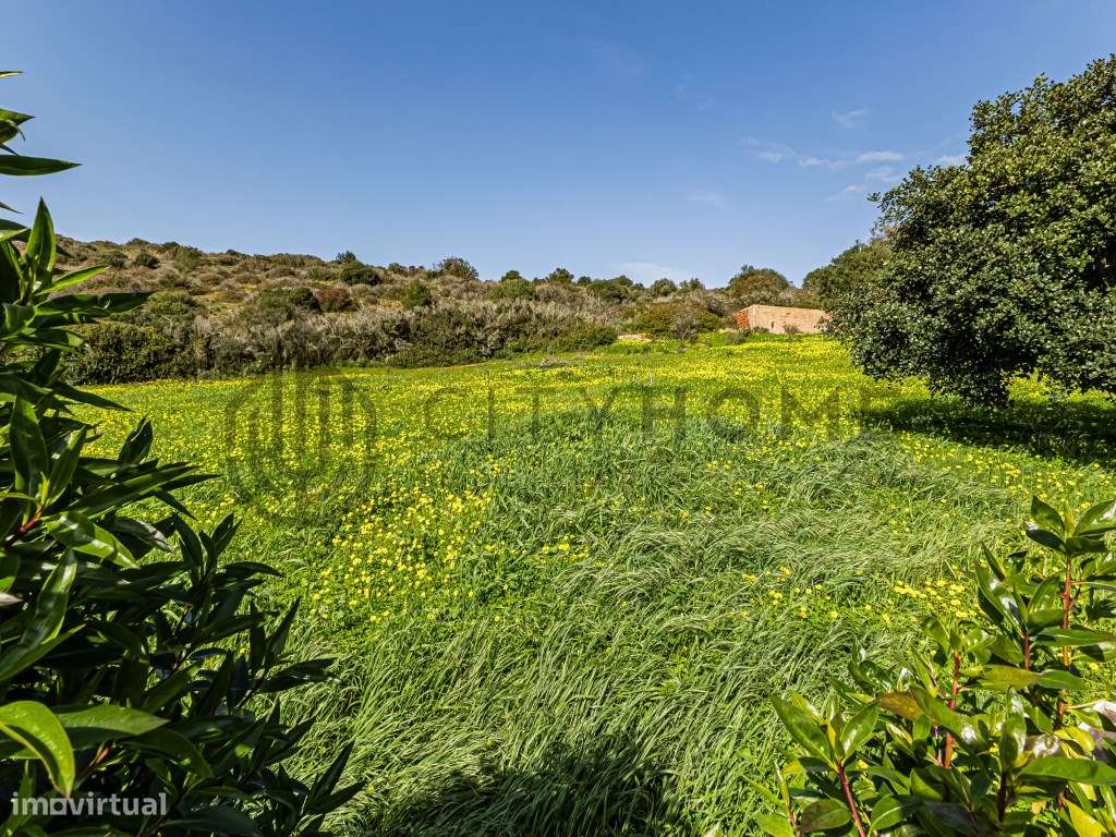 Moradia T3 e Apartamento T2 com Restaurante no Burgau-45