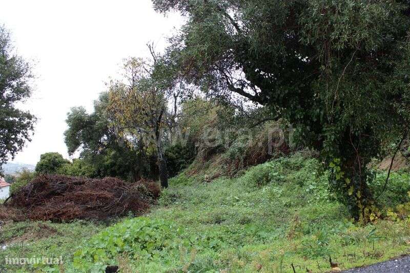 Quinta / Fundão, Aldeia de Joanes - Grande imagem: 3/4