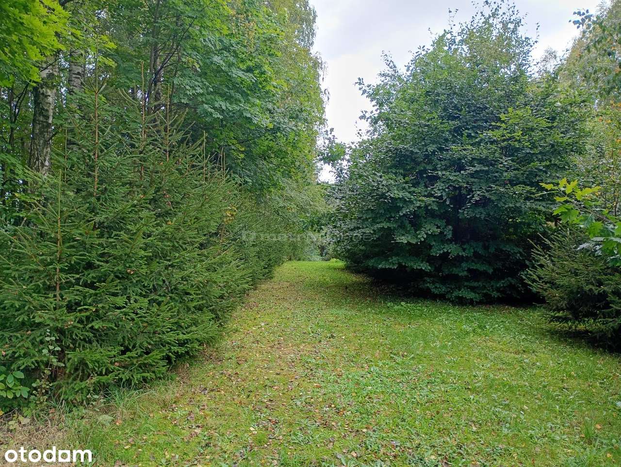 Działka z domkiem i stawem  Kierwiny, Warmia - Pełny obrazek: 5/19