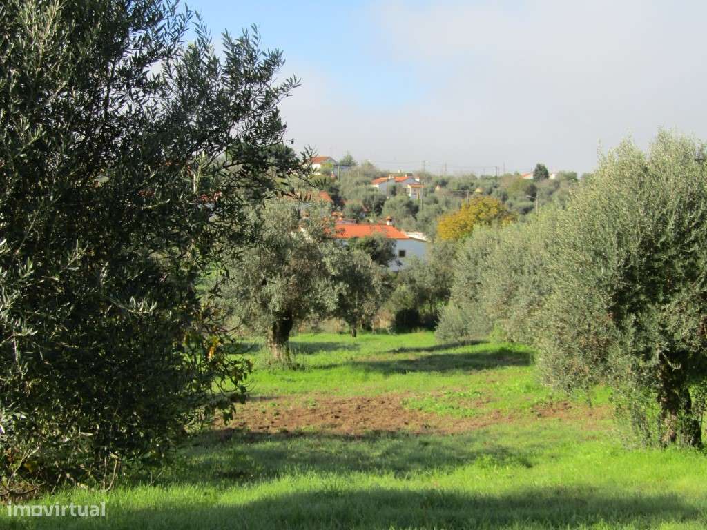 Casa do Páteo, Mouriscas, Abrantes-5