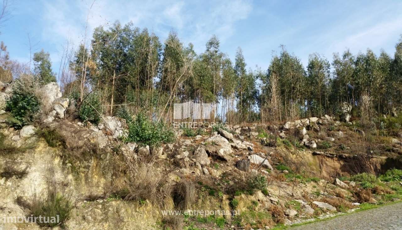 Venda Terreno, Frente Estrada, Penha Longa, Marco de Canaveses - Grande imagem: 2/6