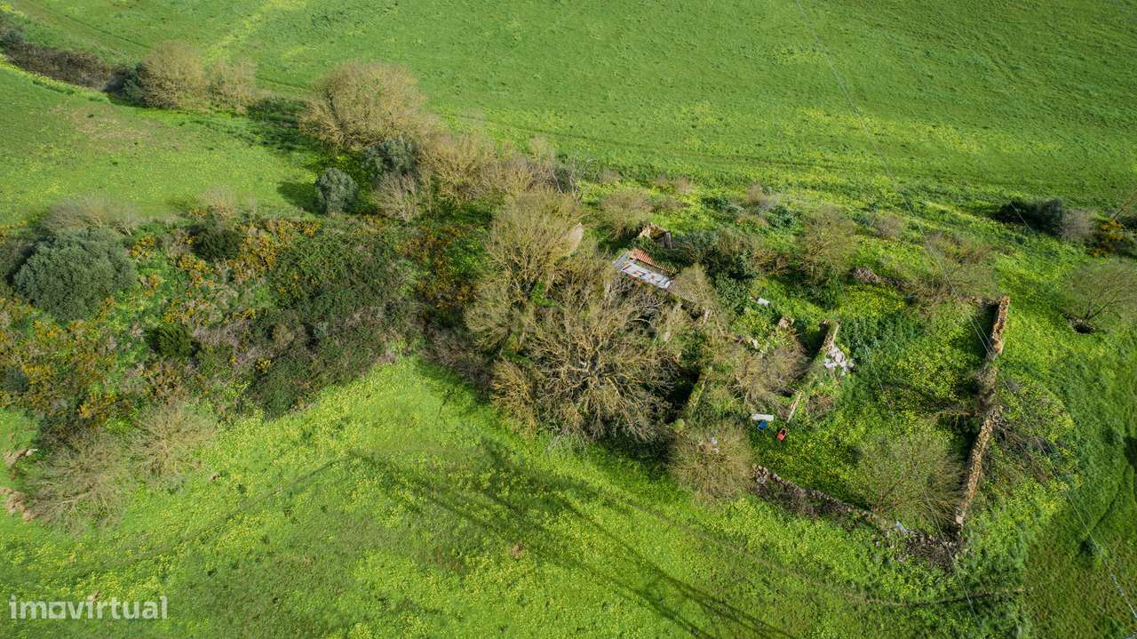 Quinta - 25 hectares-14