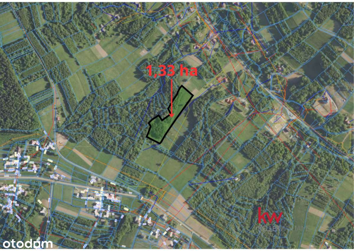 Działka rolna, częściowo zalesiona - Pełny obrazek: 4/4