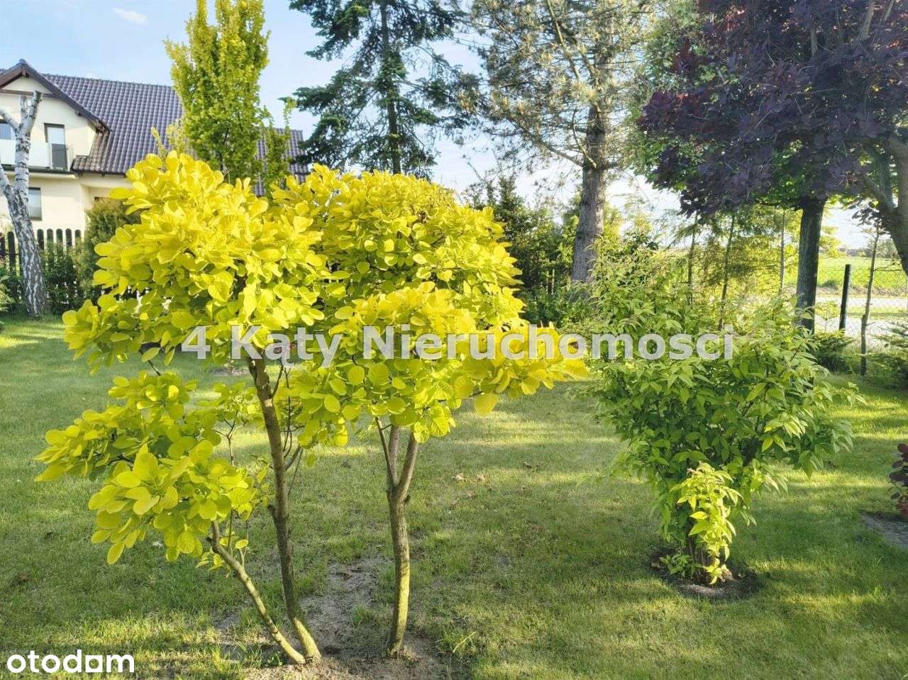 Dom Jednorodzinny ul. Zielna działka 826 m2-10