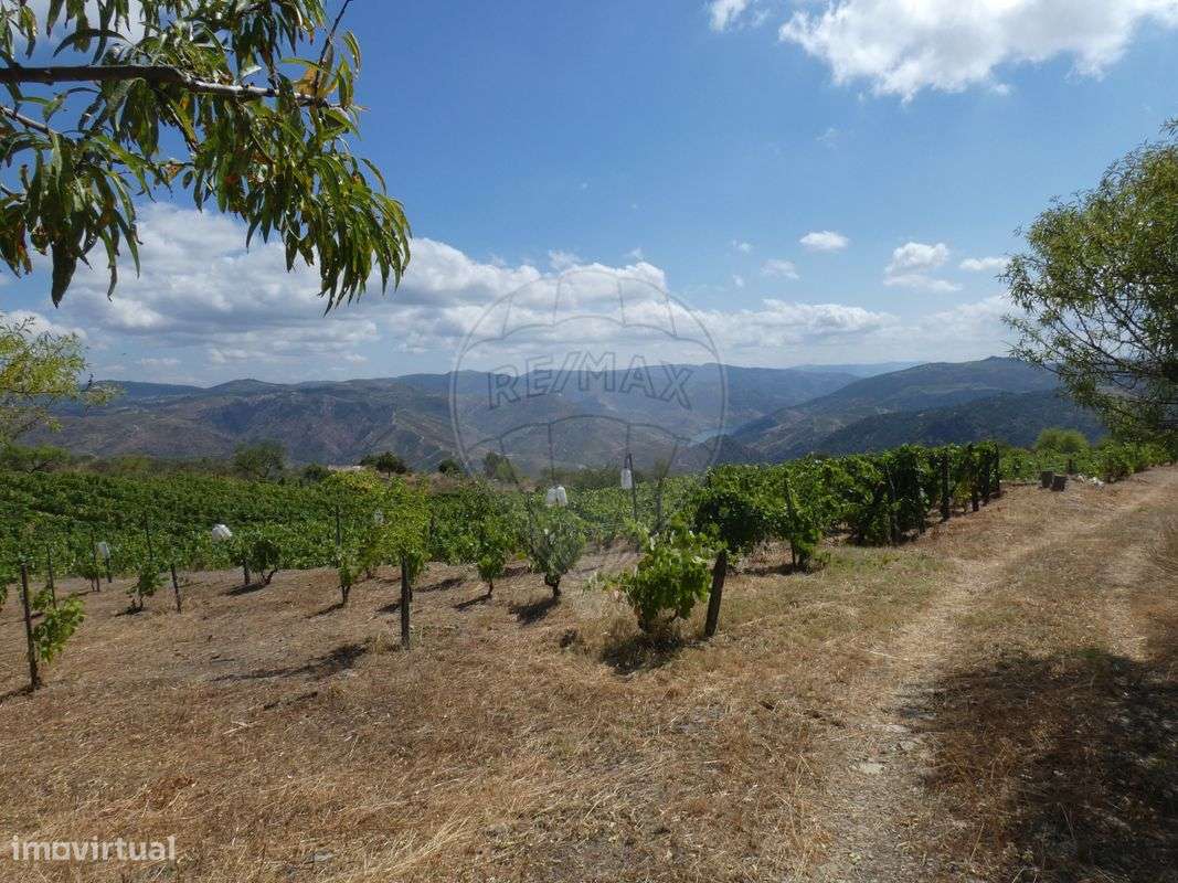 Terreno  para venda - Grande imagem: 4/7