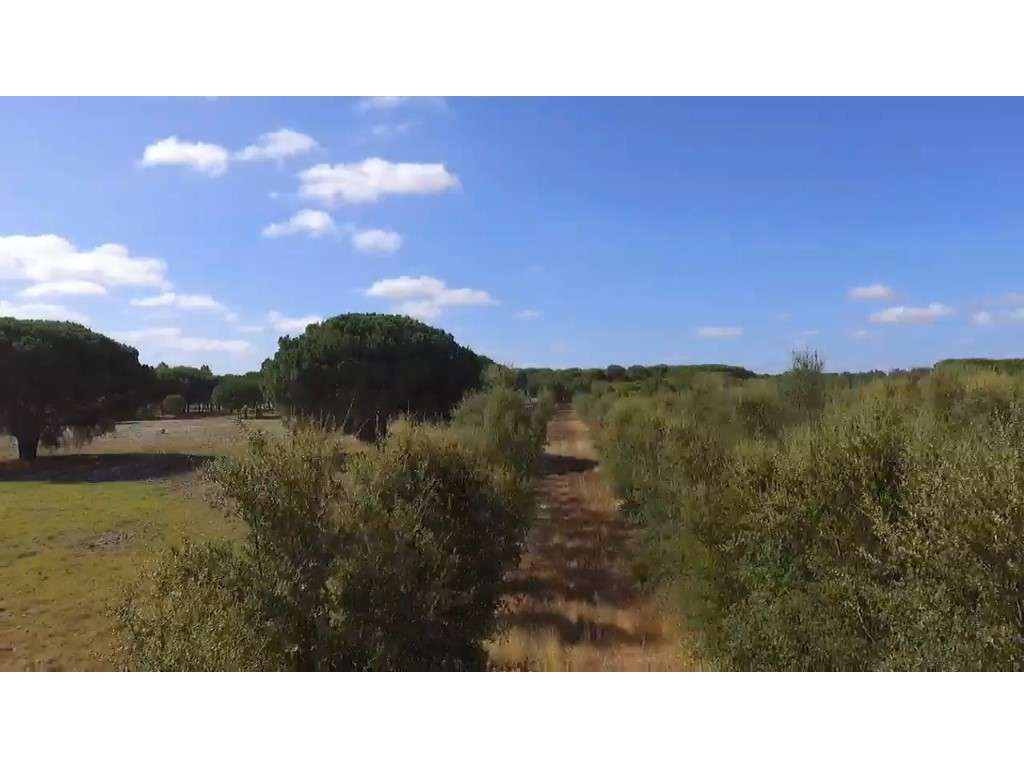 TERRENO Rústico - Grande imagem: 3/24