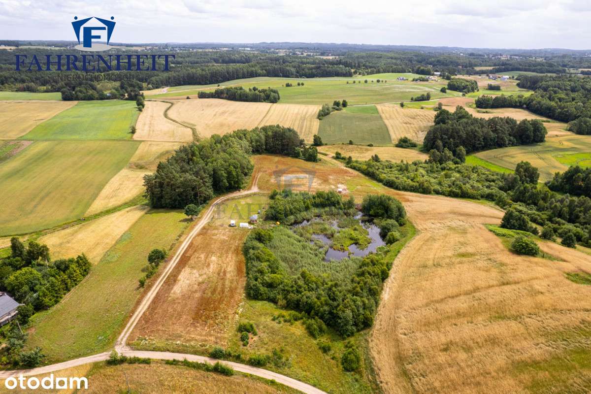 Przy stawie, na górce, extra widok blisko do Tk. - Pełny obrazek: 4/20
