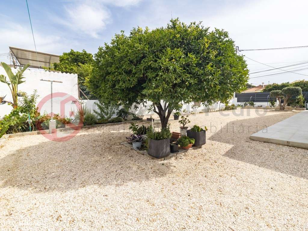 Moradia T3+2 Remodelada com garagem 740 m² de Terreno em St Antonio...-59