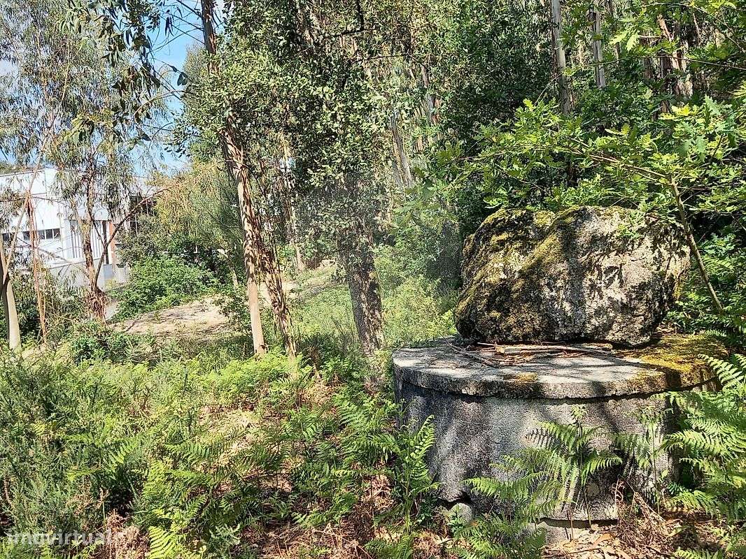 Terreno  para venda-5