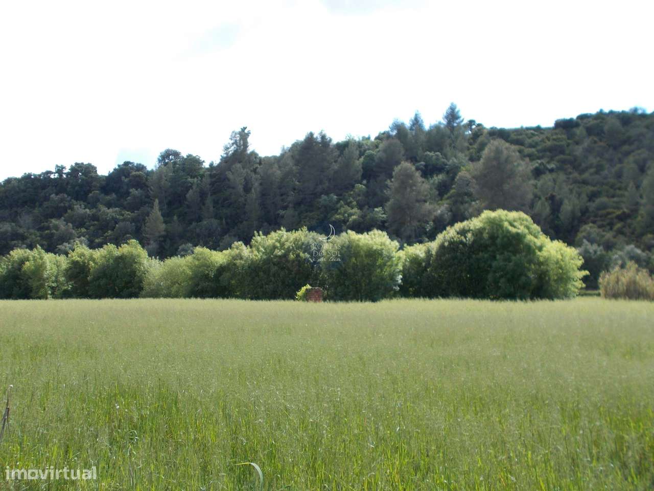 Terreno de 50.000 m2  c/ 2 Palheiros, 2 poços. - Grande imagem: 3/24