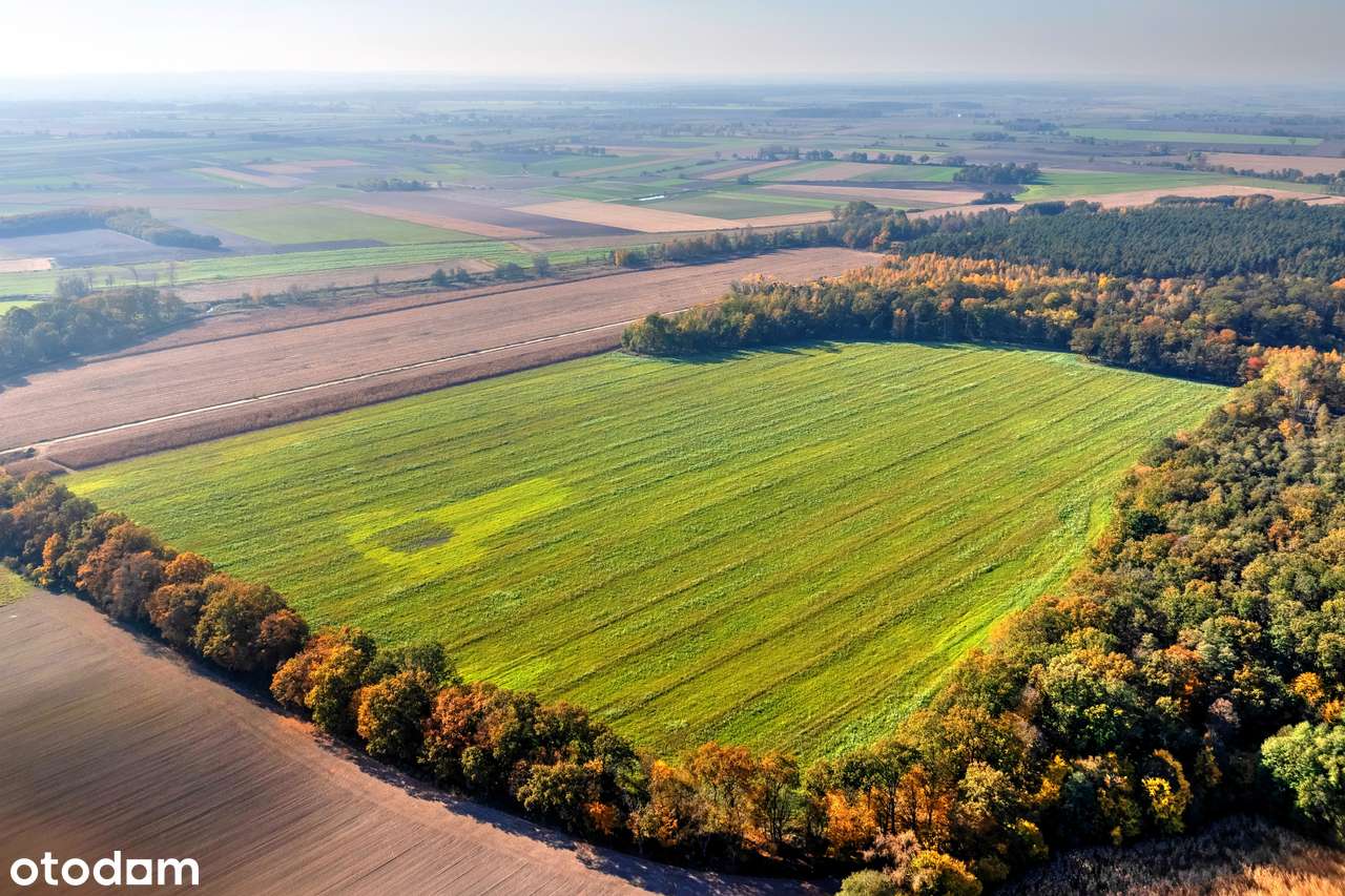 Działka inwestycyjna - hotel, dom opieki, centrum rehabilitacji, sport-11