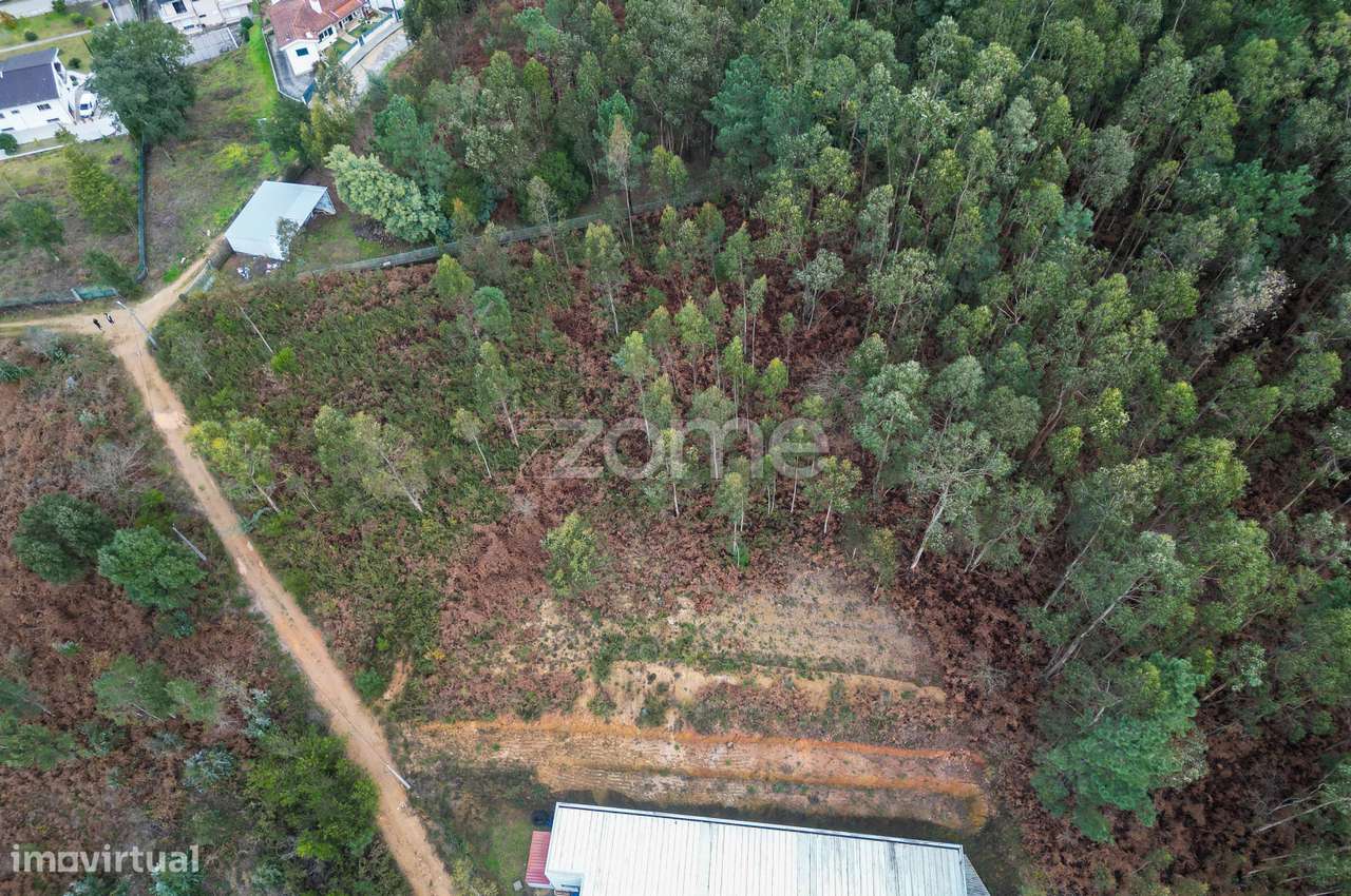 Terreno 3300m2 Vila Chã |São Roque | Oliveira de Azeméis-8