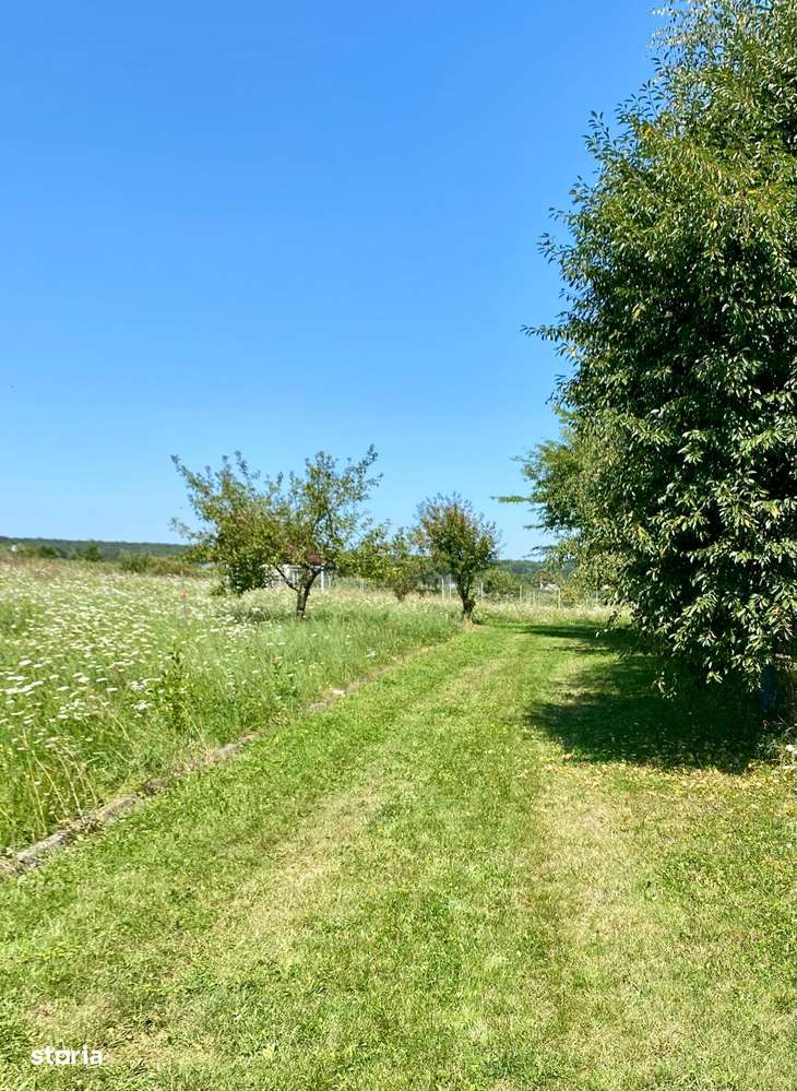 TEREN IDEAL PENTRU CASA DE VACANTA ! - Imagine principală: 4/4