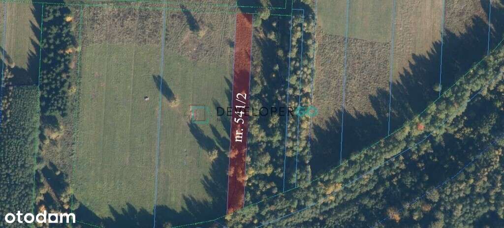 Siedlisko w Puszczy Białowieskiej z 2,8ha gruntu-10