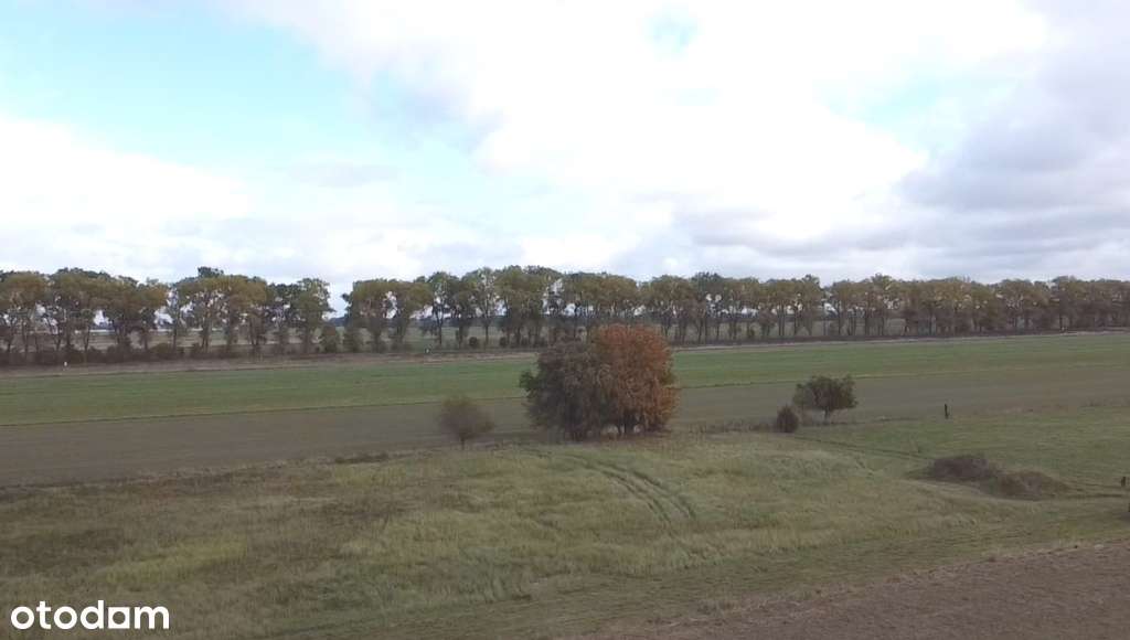 Działka 7 km od Bałtyku z DWZ - Pełny obrazek: 4/4