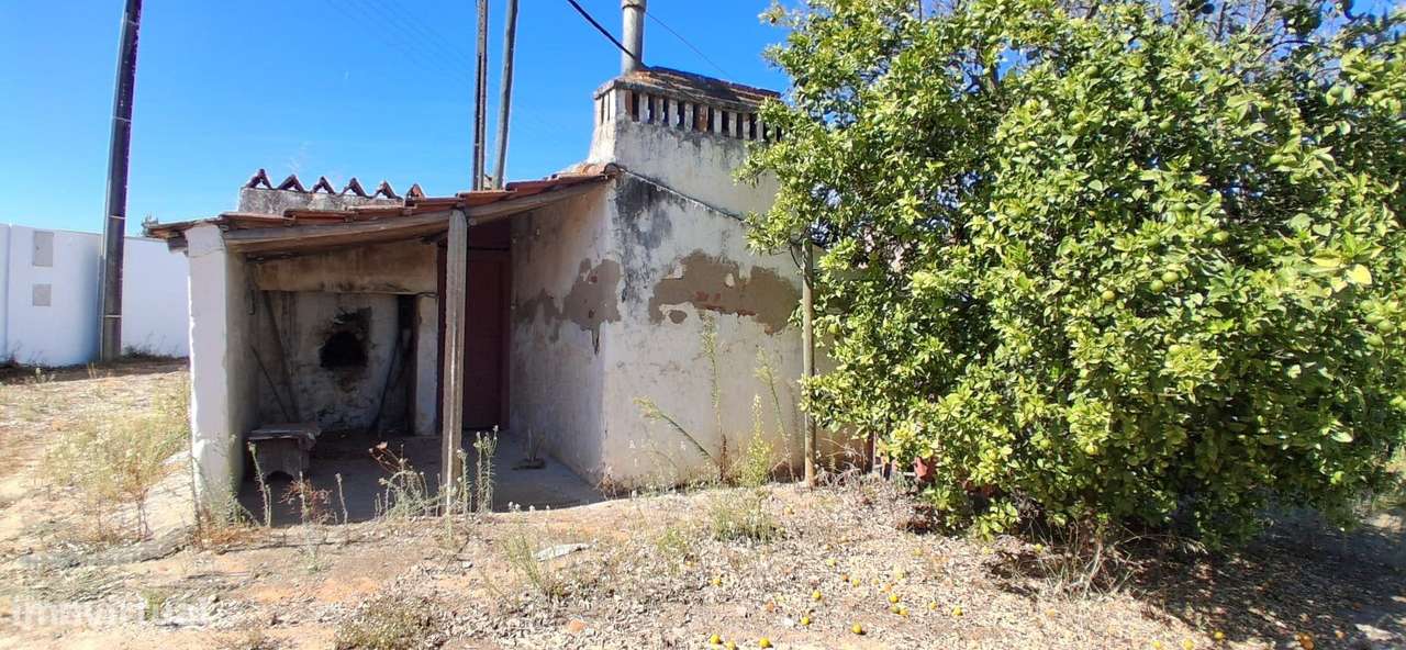 Moradia para recuperar em Frade de Cima / Alpiarça-Almeirim - Grande imagem: 5/11