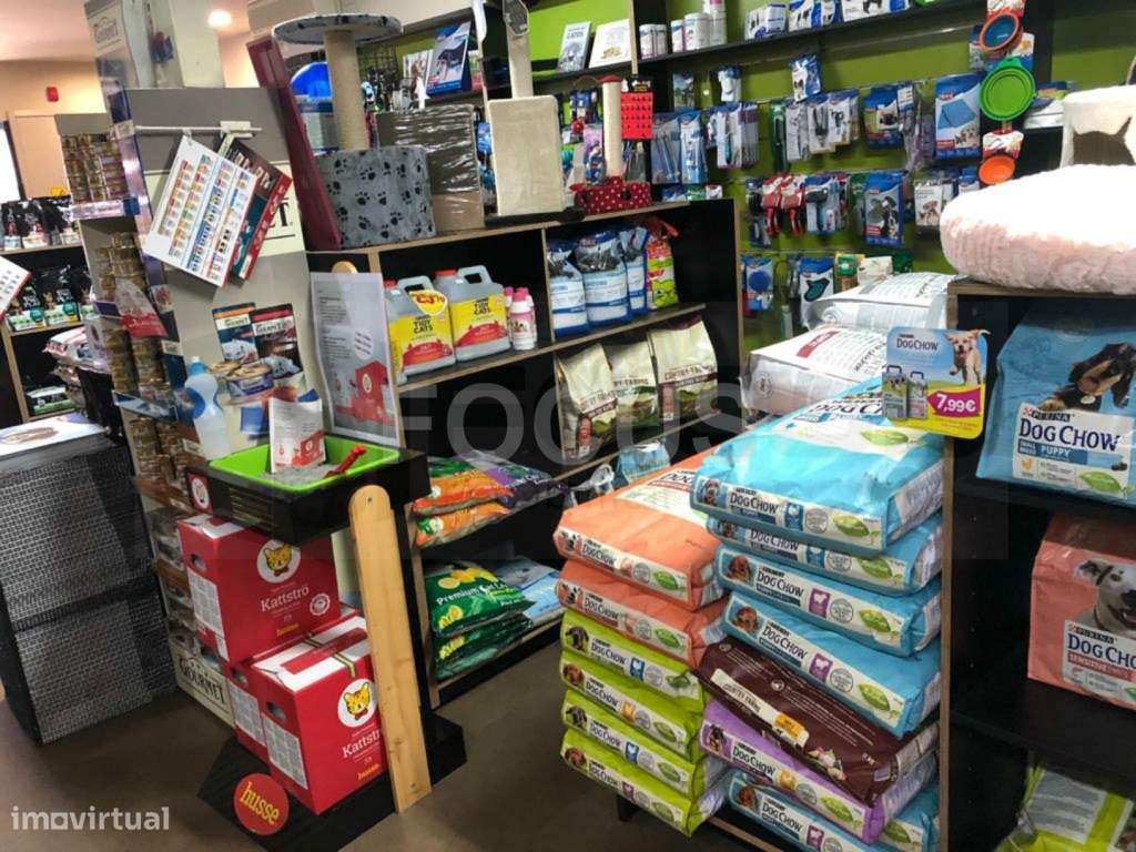 Loja de Animais / Florista / Decoração - Trespasse - Grande imagem: 5/16