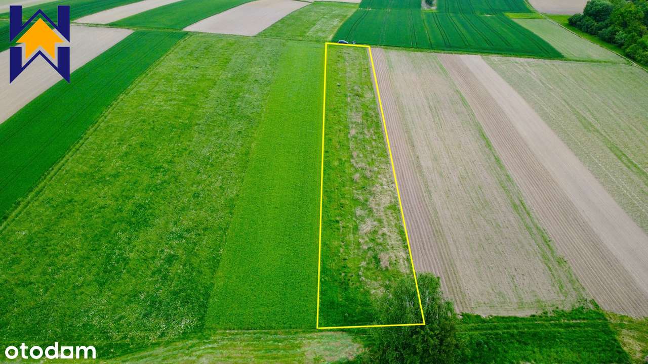 CZUŁÓWEK: Działka 28 ar, zielona, cicha okolica-3