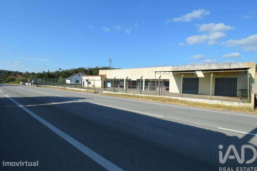 Loja / Estabelecimento Comercial em São Miguel, Santa Eufémia e Rabaça - Grande imagem: 3/20