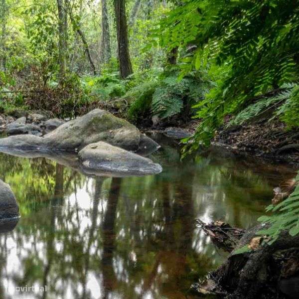 Terreno Urbano à Venda na Chamusca – 350m² em Zona Tranquila - Grande imagem: 4/10