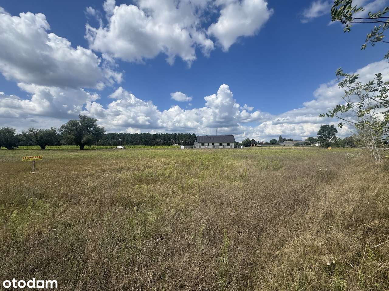 Wierzbiczany działka z mediami (prąd i woda)-10